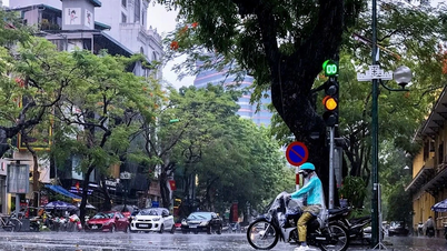 Ngày 11/5, Nghệ An có mưa rào và dông rải rác, có nơi mưa to