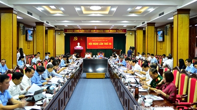 20th Provincial Party Executive Committee Conference