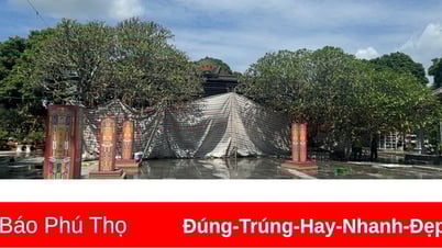Đề xuất giải pháp bảo vệ, bảo quản, tu bổ, phục hồi di tích, di vật tại chùa Phổ Quang