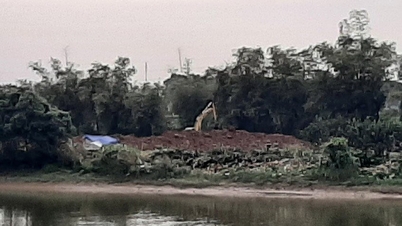 Ένα νοικοκυριό στο Thanh Ha καθάρισε ανεξάρτητα τη γεωργική του γη στην προσχωσιγενή περιοχή δίπλα στο ανάχωμα του ποταμού Rang.