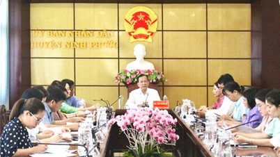ក្រុមប្រឹក្សាប្រជាជនខេត្តត្រួតពិនិត្យគោលនយោបាយអភិវឌ្ឍន៍ទេសចរណ៍នៅស្រុក Ninh Phuoc
