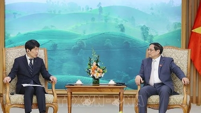 Prime Minister Pham Minh Chinh receives Governor of Gunma Prefecture, Japan