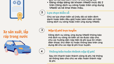 6 steps to register a vehicle for the first time on VNeID