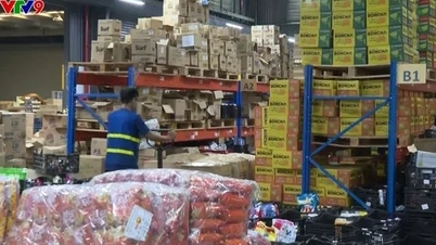 Gần 65.000 nhà bán hàng rời sàn thương mại điện tử