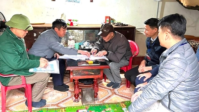Submit to the Central Government the project on merging communes, wards and towns in Hai Duong