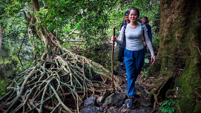 Experience of traveling in the forest