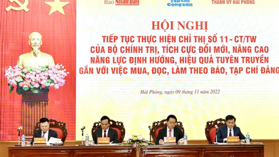 Tiếp tục triển khai hiệu quả Chỉ thị số 11 của Bộ Chính trị về mua và đọc báo, tạp chí của Đảng