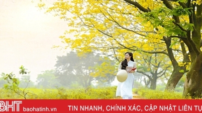 ពន្លឺថ្ងៃរដូវស្លឹកឈើជ្រុះ