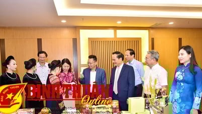 ឆ្នាំទេសចរណ៍ប្រព័ន្ធផ្សព្វផ្សាយ Tuyen Quang និងពិធីបុណ្យពន្លឺ ...