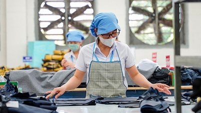 รายรับภาษีเงินได้บุคคลธรรมดา 11 เดือน เกินแผนรายปี 10,000 ล้านดอง
