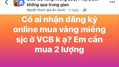 ¿Cómo compran los habitantes de Hai Duong lingotes de oro de los bancos a través de canales en línea?