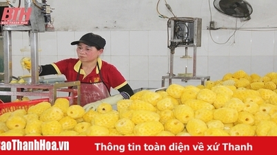 ផ្តោតលើការកេងប្រវ័ញ្ចទីផ្សារនាំចេញ