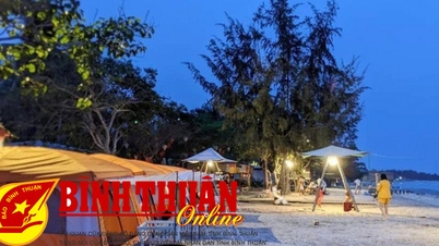 Hành trình biển và hoa