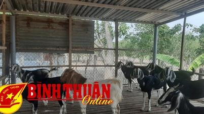 Triển khai các dự án ứng dụng, chuyển giao tiến bộ khoa học công nghệ phục vụ phát triển vùng dân tộc miền núi