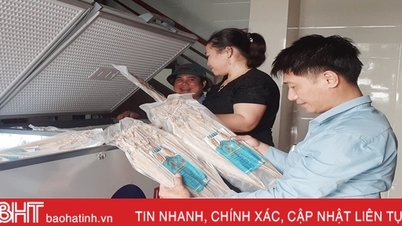 ការនាំយក "រសជាតិសមុទ្រ" របស់ Loc Ha ទៅជាផលិតផល OCOP