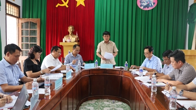 Giám sát thực hiện Quyết định số 42 tại Công ty TNHH Cao su & Lâm nghiệp Phước Hòa – Đắk Lắk