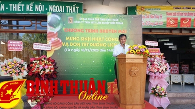 Công ty TNHH MTV Lâm nghiệp Bình Thuận:﻿﻿ Tưng bừng khuyến mãi “Mừng sinh nhật công ty và đón Tết Dương lịch 2024”