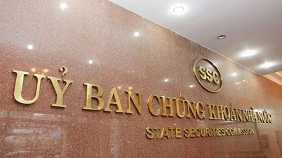 From August 15, the State Securities Commission begins to apply "one-stop" information disclosure.