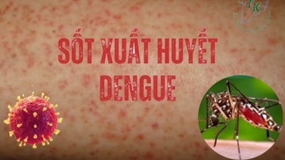 ជំងឺគ្រុនឈាមជាង 3,000 ករណីក្នុងមួយសប្តាហ៍