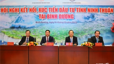 Conférence sur la connexion et la promotion des investissements dans la province de Ninh Thuan à Binh Duong
