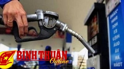 Ensuring adequate supply of gasoline during Lunar New Year