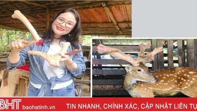 ជិត ២ពាន់លានដុង ដើម្បីកសាងគំរូតភ្ជាប់ផលិតផល OCOP ពីសត្វក្តាន់