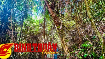 ទប់ស្កាត់ការកាប់បំផ្លាញព្រៃឈើ ការកាប់ឈើខុសច្បាប់ និងការបង្ការ និងពន្លត់ភ្លើងឆេះព្រៃ