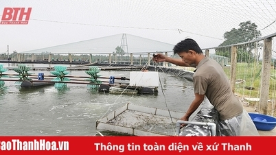 ឃុំ Quang Nham អភិវឌ្ឍន៍សេដ្ឋកិច្ចសមុទ្រ