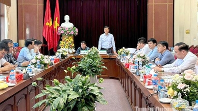 Hàm Yên làm việc với Tổng Công ty Giấy Việt Nam tháo gỡ vướng mắc giải phóng mặt bằng trên đất lâm nghiệp