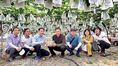 Eindrücke der koreanischen Landwirtschaft