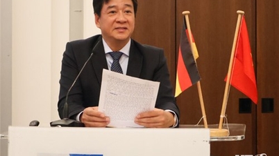 Delegation der Provinz Ninh Thuan arbeitete mit der Industrie- und Handelskammer Frankfurt (IHK) zusammen – Bundesrepublik Deutschland