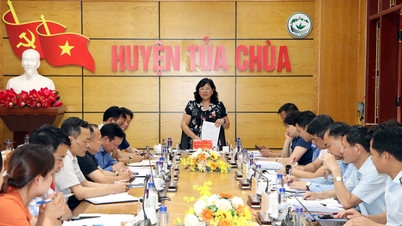 Provincial People's Council supervises land and forest allocation in Tua Chua district
