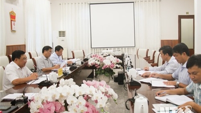 UBND tỉnh họp nghe báo cáo kết quả thực hiện các đề án ngành Nông nghiệp