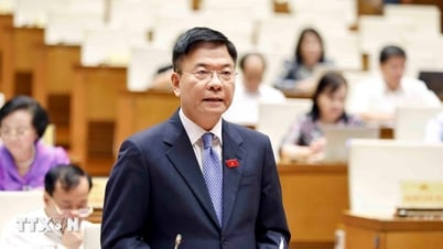 'Có biểu hiện của lợi ích nhóm, lợi ích cục bộ trong xây dựng văn bản pháp luật'
