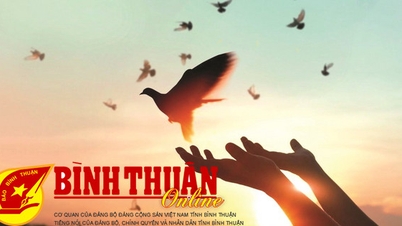 Đôi điều về sự khoan dung