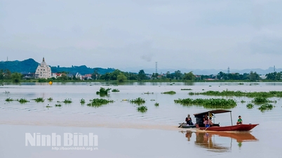 ម៉ោង ៧:០០ ព្រឹក ថ្ងៃទី ១៣ ខែកញ្ញា៖ កម្ពស់ទឹកទន្លេ Hoang Long នៅ Ben De ស្រកមកត្រឹម ៤,៨២ ម
