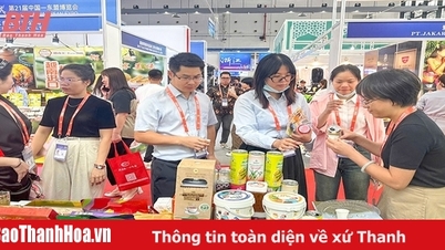 ការអនុវត្តយុទ្ធសាស្ត្រអភិវឌ្ឍន៍ពាណិជ្ជកម្មសម្រាប់ផលិតផលកសិកម្ម