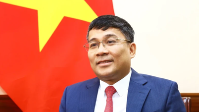 Thứ trưởng Bộ Ngoại giao Nguyễn Minh Vũ giữ chức Chủ tịch Ủy ban Quốc gia UNESCO Việt Nam - Báo Lạng Sơn: Tin tức mới nhất, chính xác, uy tín