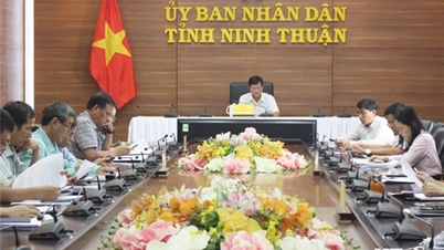 Hội nghị trực tuyến về dự thảo Quyết định của Thủ tướng Chính phủ về cơ chế, chính sách cho người có đất thu hồi
