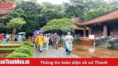 봄 여행 루트 탐색