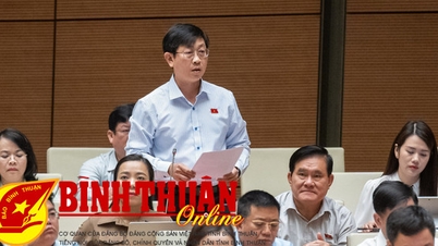 Đề nghị Chính phủ có giải pháp hữu hiệu khắc phục tình trạng lừa đảo trên không gian mạng.