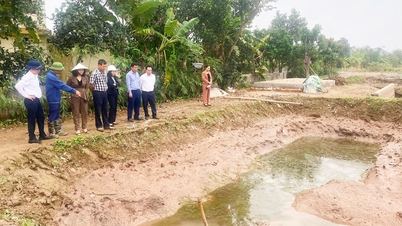 Tứ Kỳ thử nghiệm nuôi cà ra thương phẩm trong ao