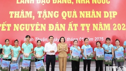 អនុប្រធានរដ្ឋសភាវៀតណាម Nguyen Thi Thanh អញ្ជើញទៅសួរសុខទុក្ខ និងជូនអំណោយ Tet នៅ Ninh Thuan