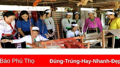 Trao cơ hội việc làm cho người nghèo
