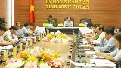 Online conference to summarize the work of the Government's Steering Committee 138 and the National Steering Committee 389