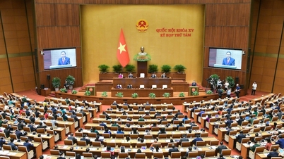 15대 국회 8차 회의: 여러 중요 사안 심의·의결, 제도·정책의 애로·장애물 신속히 해소, 개발자원 발굴