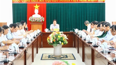 Đẩy nhanh tiến độ giải ngân nguồn vốn 3 chương trình mục tiêu quốc gia trên địa bàn tỉnh