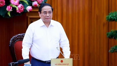 500 kV line circuit 3 must be completed before September 2, 2024
