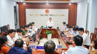 គណៈប្រតិភូរដ្ឋសភាខេត្ត Quang Nam ទទួលប្រជាពលរដ្ឋជាទៀងទាត់ក្នុងខែធ្នូ ឆ្នាំ២០២៤