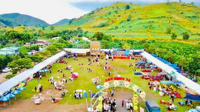 Gia Lai organizes Wild Sunflower Week